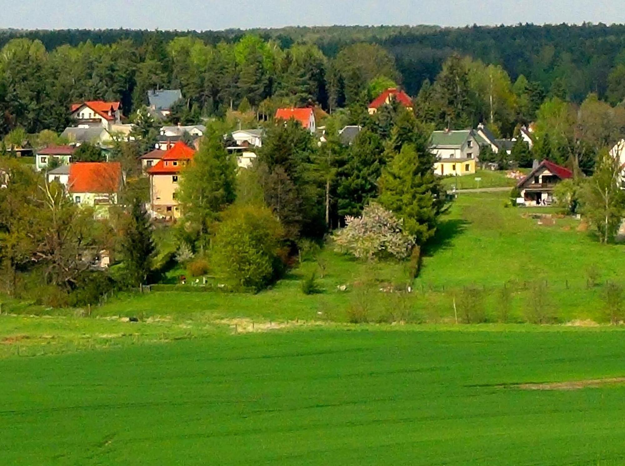 Ferienwohnung Deutschmann Dahlen Екстериор снимка