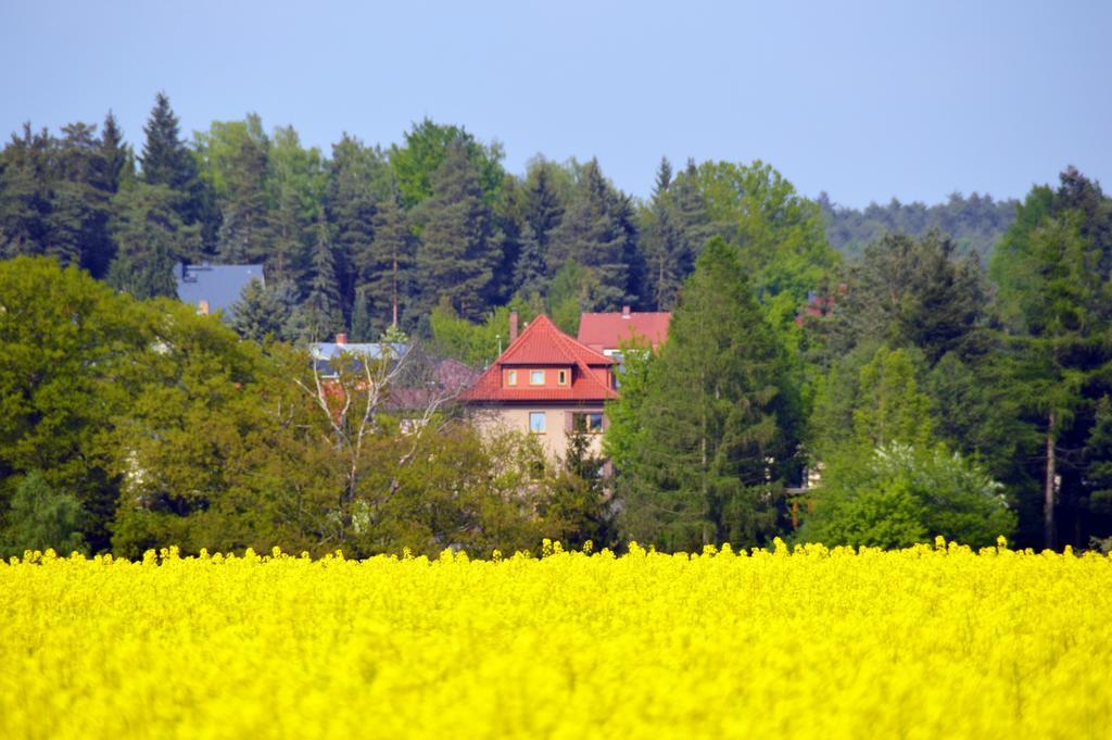 Ferienwohnung Deutschmann Dahlen Стая снимка