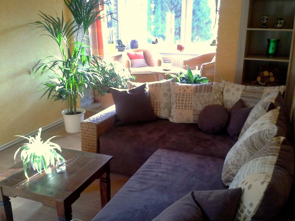 Ferienwohnung Deutschmann Dahlen Екстериор снимка